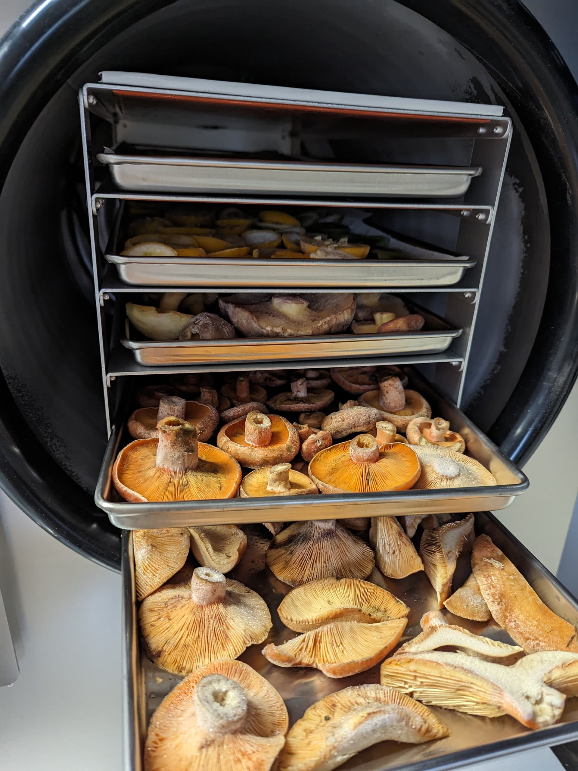 Freeze-dried mushroom pieces.